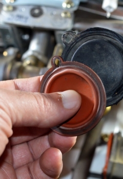 תיקון דוד בתל אביב